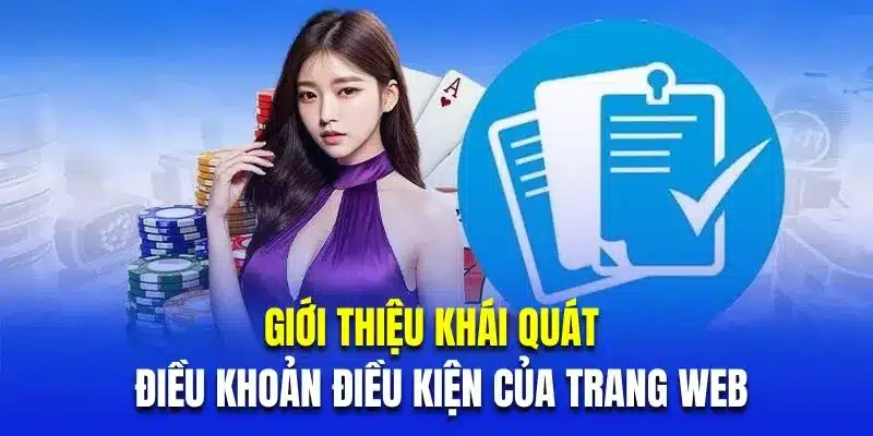 Giới thiệu khái quát về điều khoản điều kiện của trang web