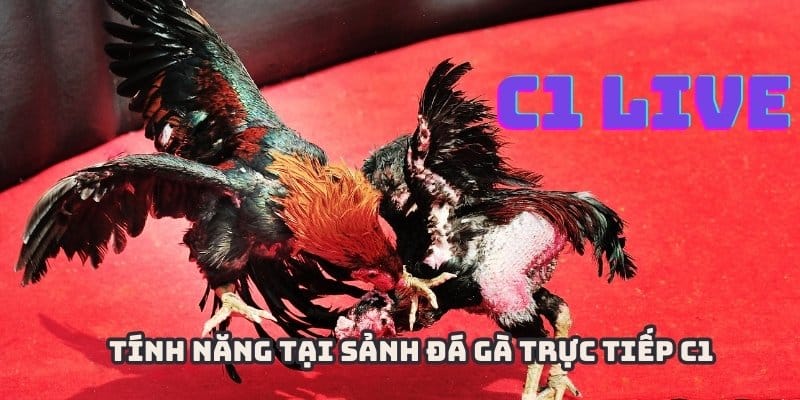 Hệ thống tích hợp nhiều tính năng mới lạ tại đá gà trực tiếp C1