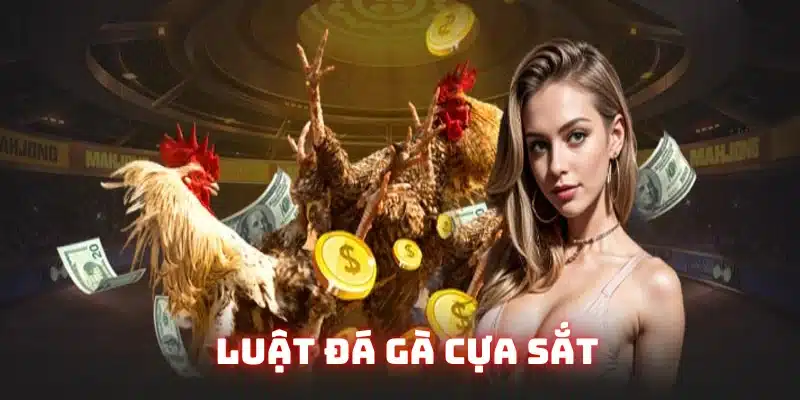 luật đá gà cựa sắt